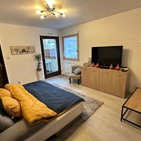 Apartmán Superbe F2 Terrasse, Route Du Vin, Florival Guebwiller Exteriér fotografie