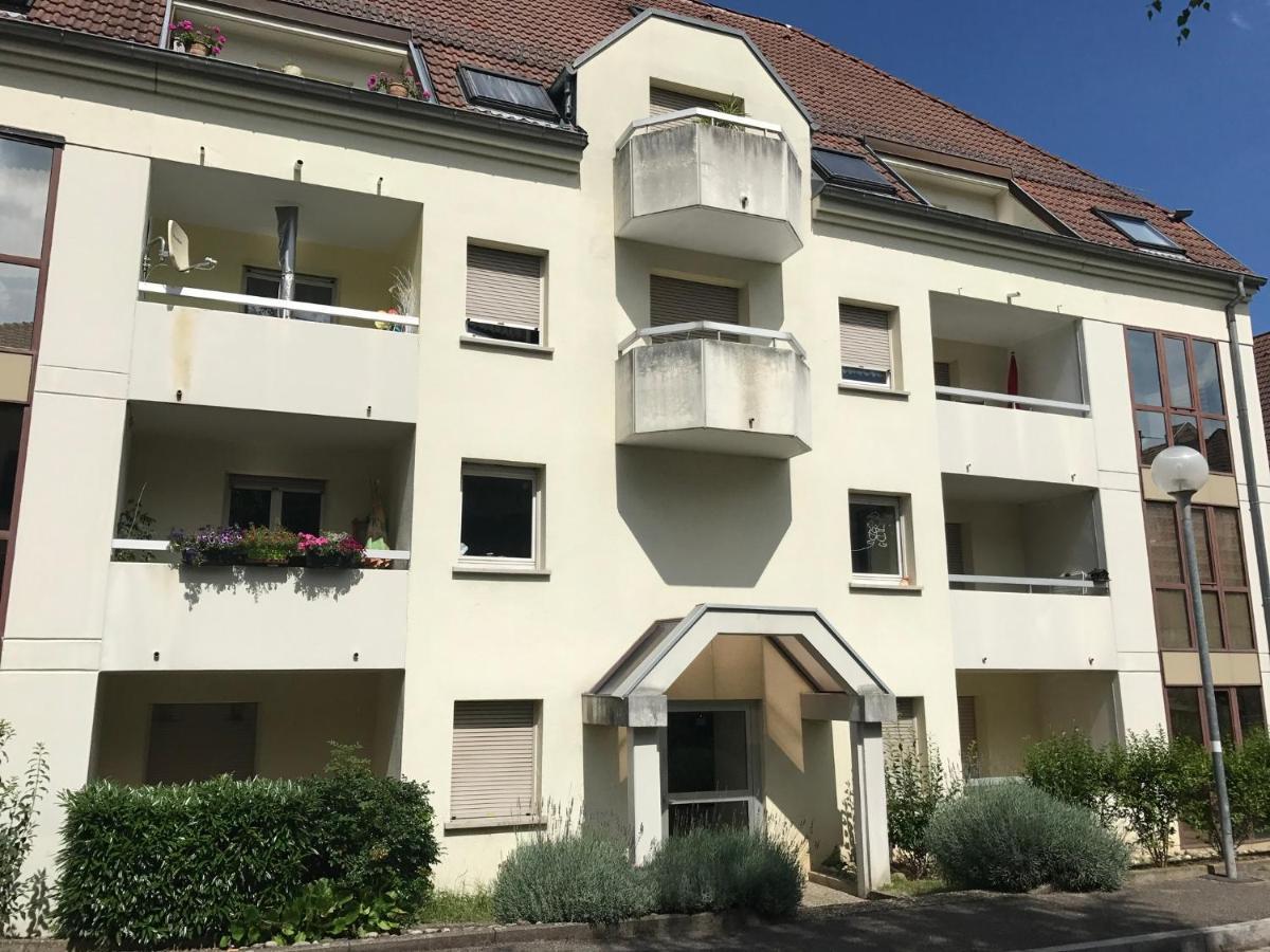 Apartmán Superbe F2 Terrasse, Route Du Vin, Florival Guebwiller Exteriér fotografie